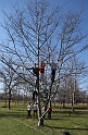 2012NCAA XC-217